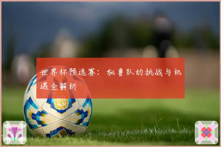 世界杯预选赛：秘鲁队的挑战与机遇全解析