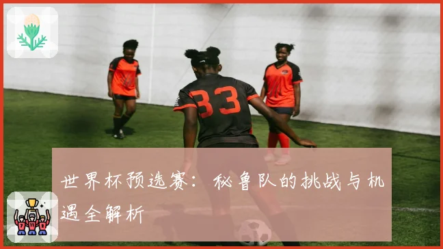世界杯预选赛：秘鲁队的挑战与机遇全解析