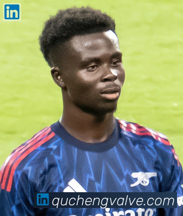 维尼修斯